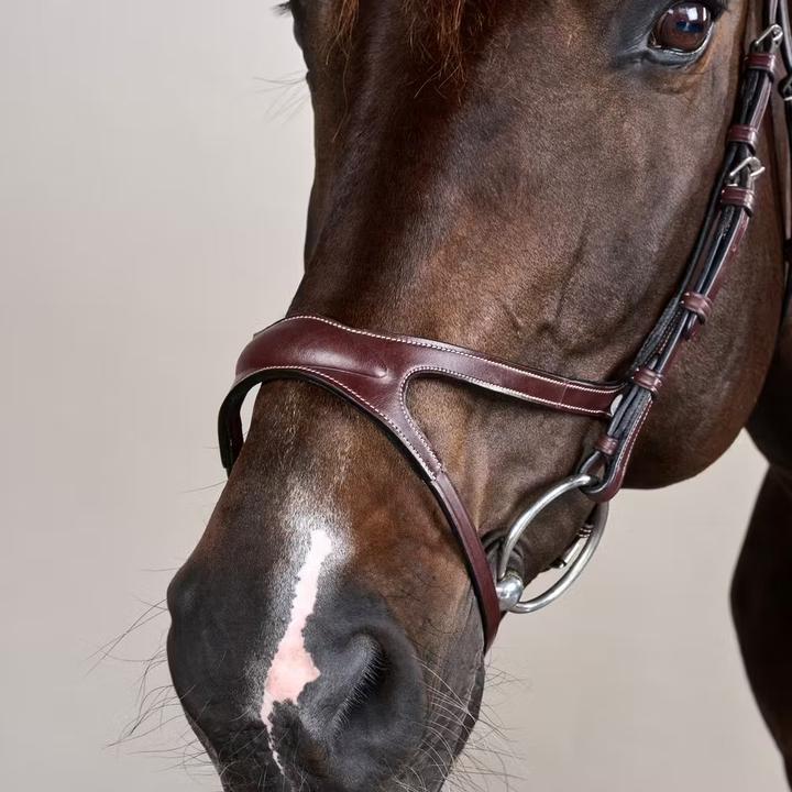 Actual product image Dy'on X-Fit US Collection