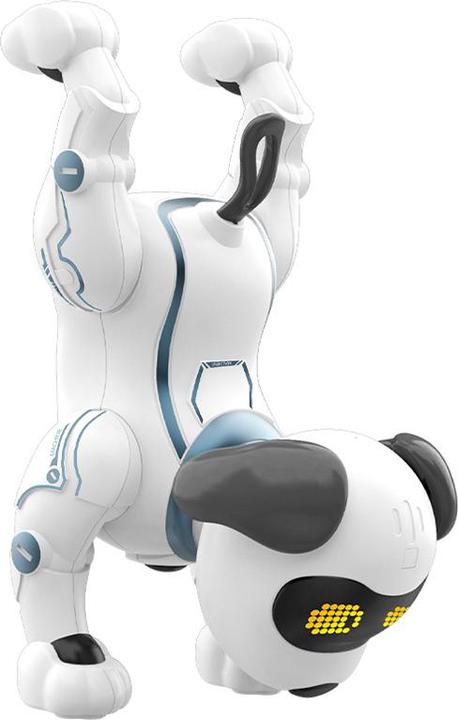 Actual product image Maxlife Hund MXRD-100