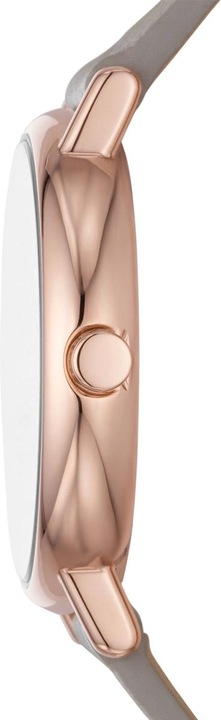 Actual product image Skagen Signatur Lille (Analogue wristwatch, 30 mm)