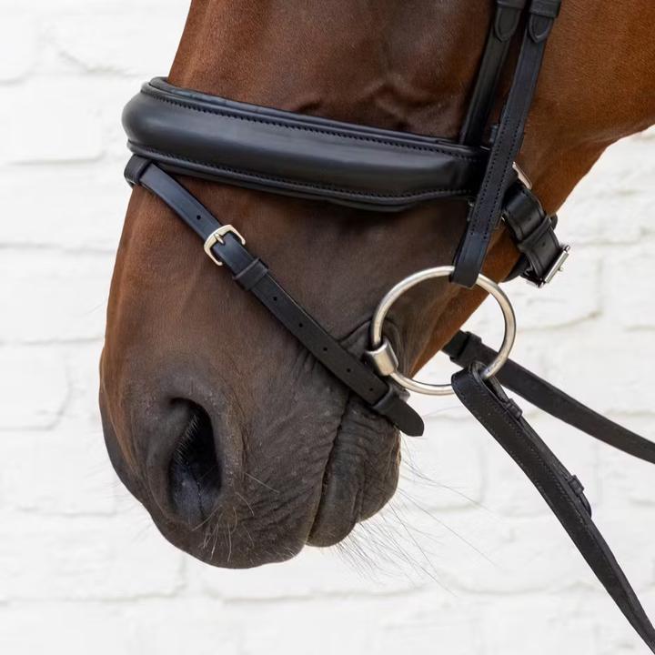 Image du produit Dy'on Bridon équitation muserolle en cuir souple