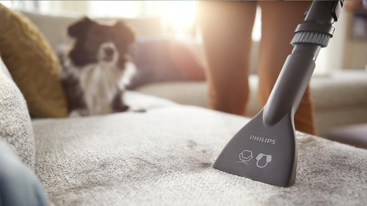 Actual product image Philips XD5123/10