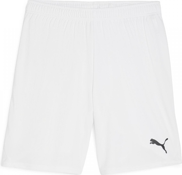 Actual product image Puma teamGOAL shorts (3XL)
