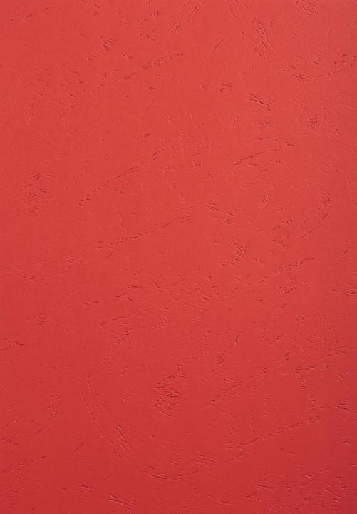 Actual product image Exacompta Evercover 270 g/m², 100 pieces, red