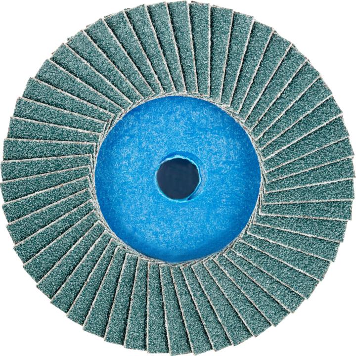 Actual product image Pferd Flap disc (60)