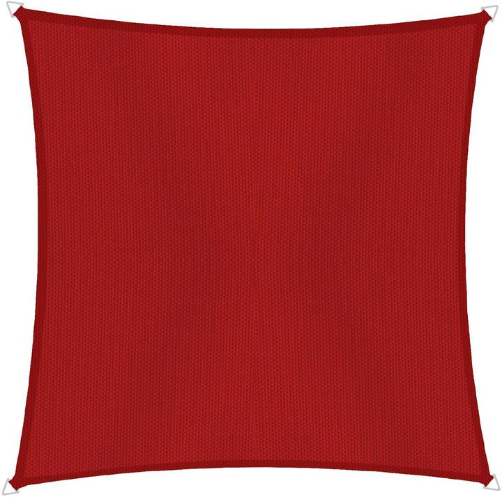 Rot