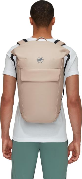 Actual product image Mammut Seon Courier 20 (20 l)