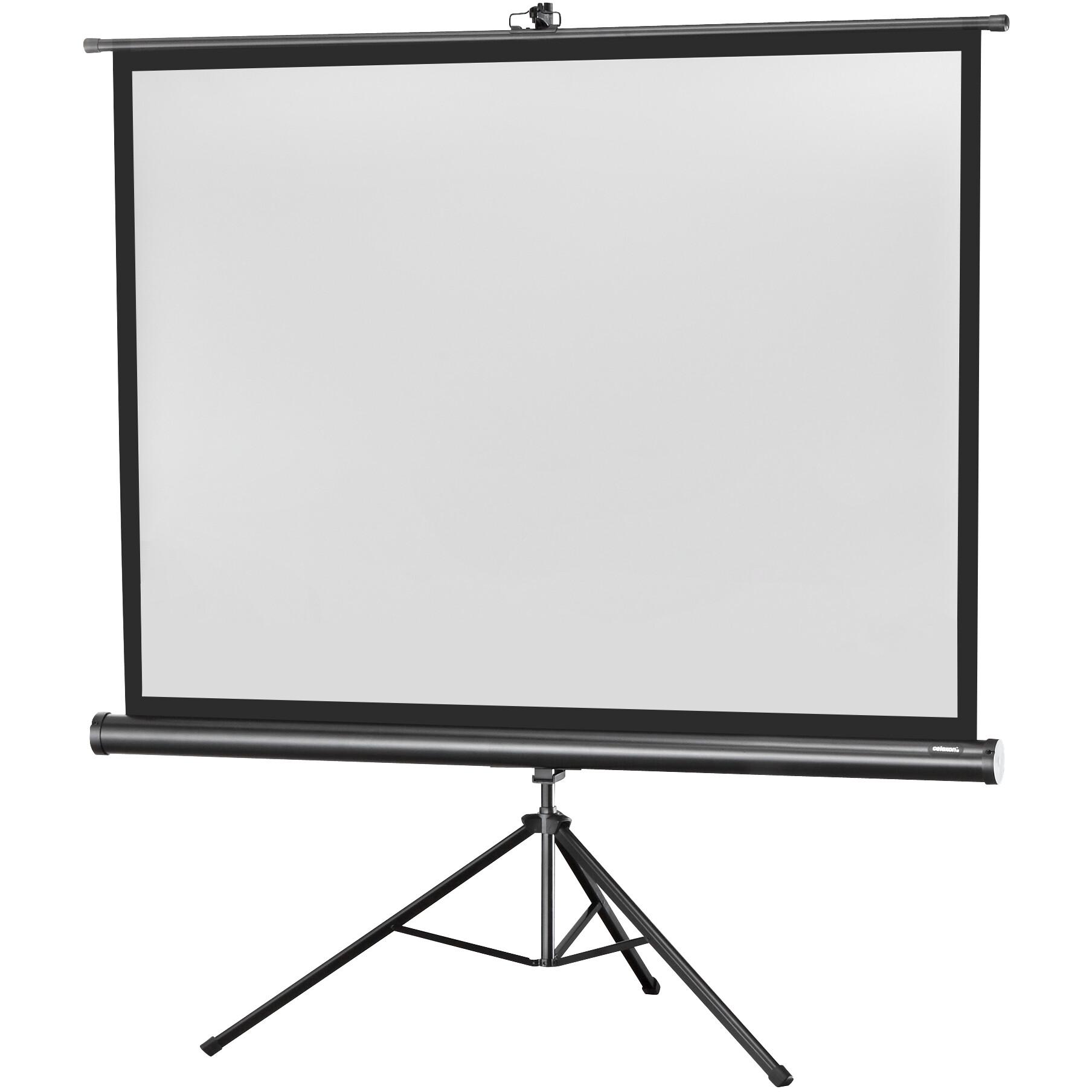 Celexon Eco Stativ, Leinwand, 4:3 (77.56", 4:3), Leinwand, Schwarz