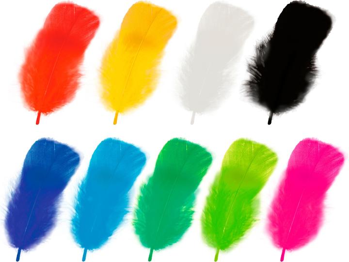 Actual product image Ursus Feathers 100g, Multicoloured
