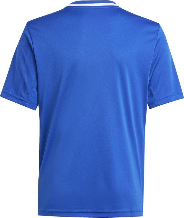 Immagine prodotto adidas Maglia Campeon 25 Bambini (116)