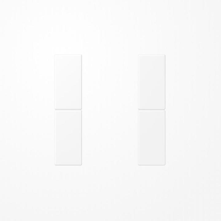 Actual product image JUNG Button 2t Sensor LS ws mt f.Bus system LS502TSAWWM