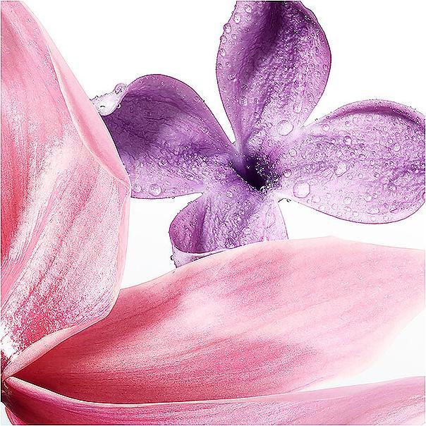 Image du produit Issey Miyake A Drop d'Issey (Eau de parfum, 30 ml)