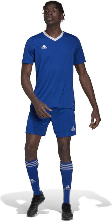 Produktbild adidas Entrada 22 Fussballtrikot Herren (M)