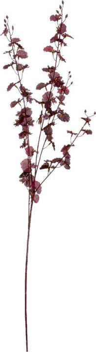 Immagine prodotto Hill Interiors Fiore artificiale Orchidea (91 cm)