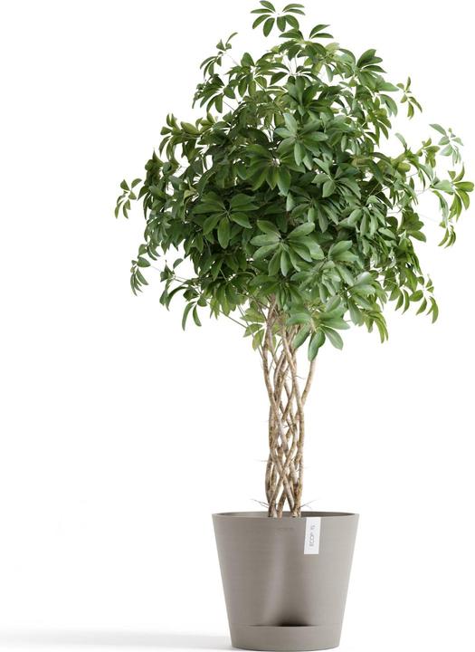 Produktbild Ecopots Venice 2 (40 x 35 cm)