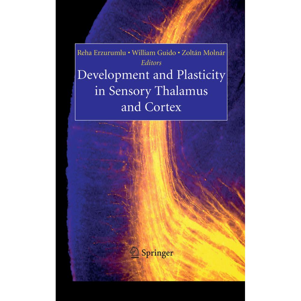 Development and Plasticity in Sensory Thalamus and Cortex, Fachbücher