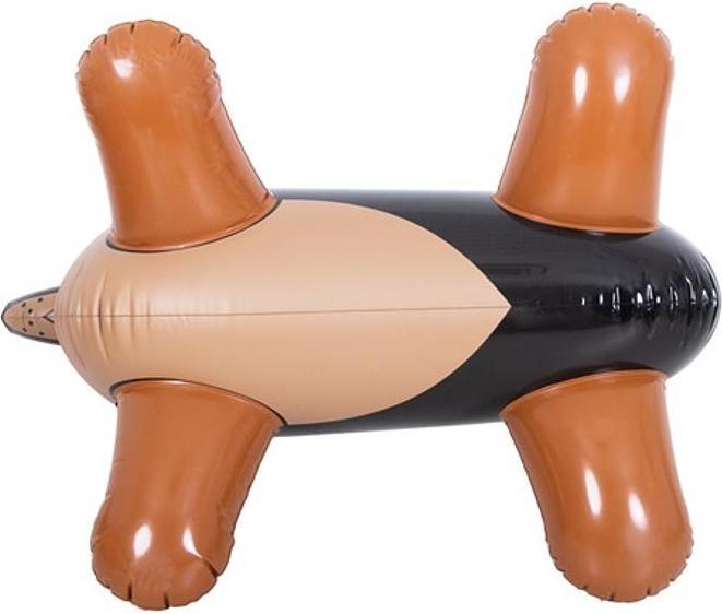 Actual product image Jilong Dachshund