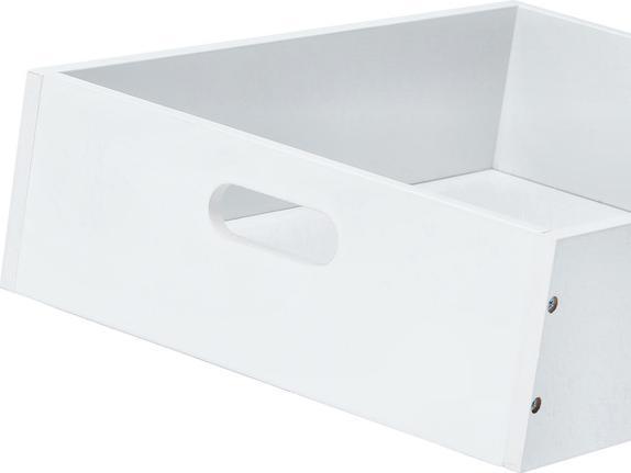 Actual product image Zeller Present Storage box (40 x 30 x 11 cm, 13 l)