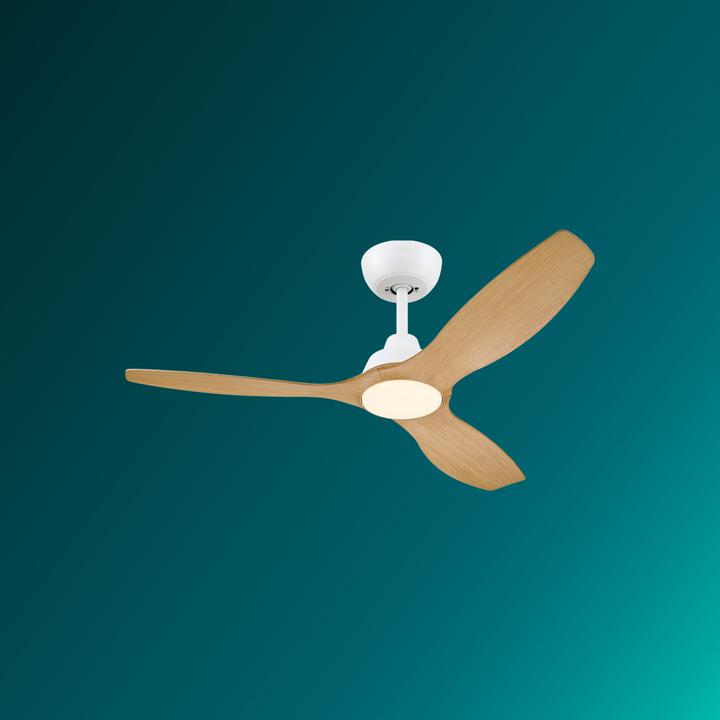 Immagine prodotto Philips Olas