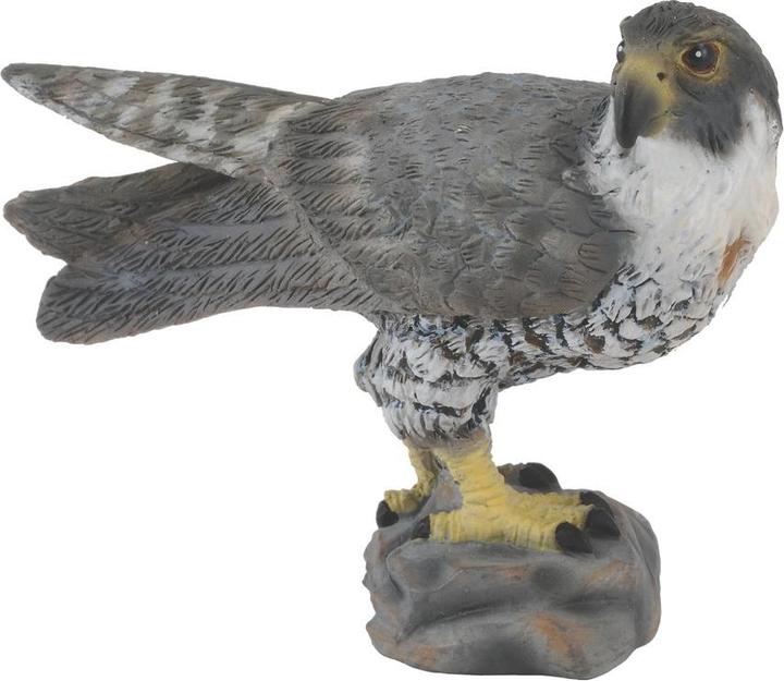 Produktbild Collecta Wanderfalke (S)