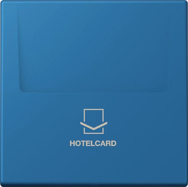 Image du produit JUNG Guichet Hotelcard (Carte clé)