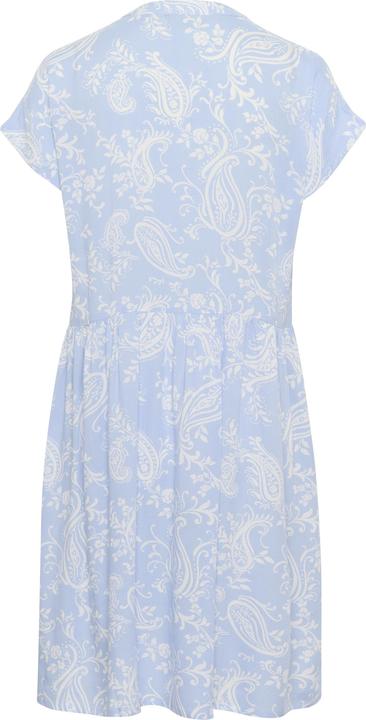 Paisley Print