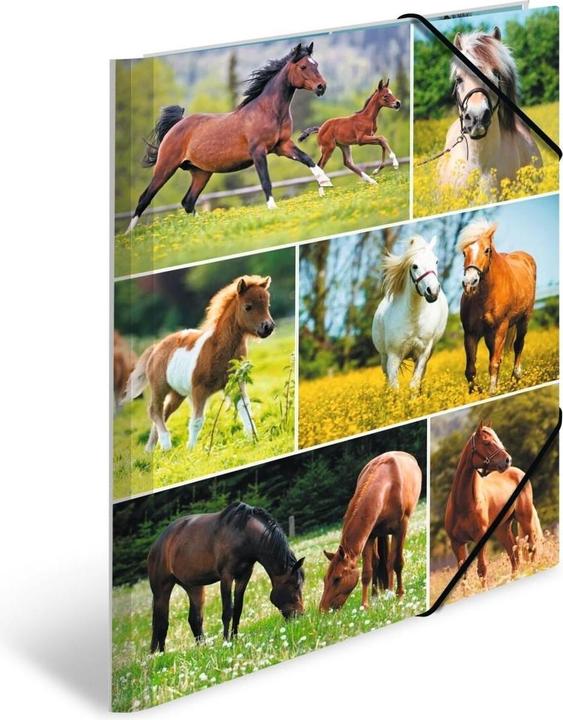 Produktbild HERMA Sammelmappe A4 Motiv (A4, 1x)