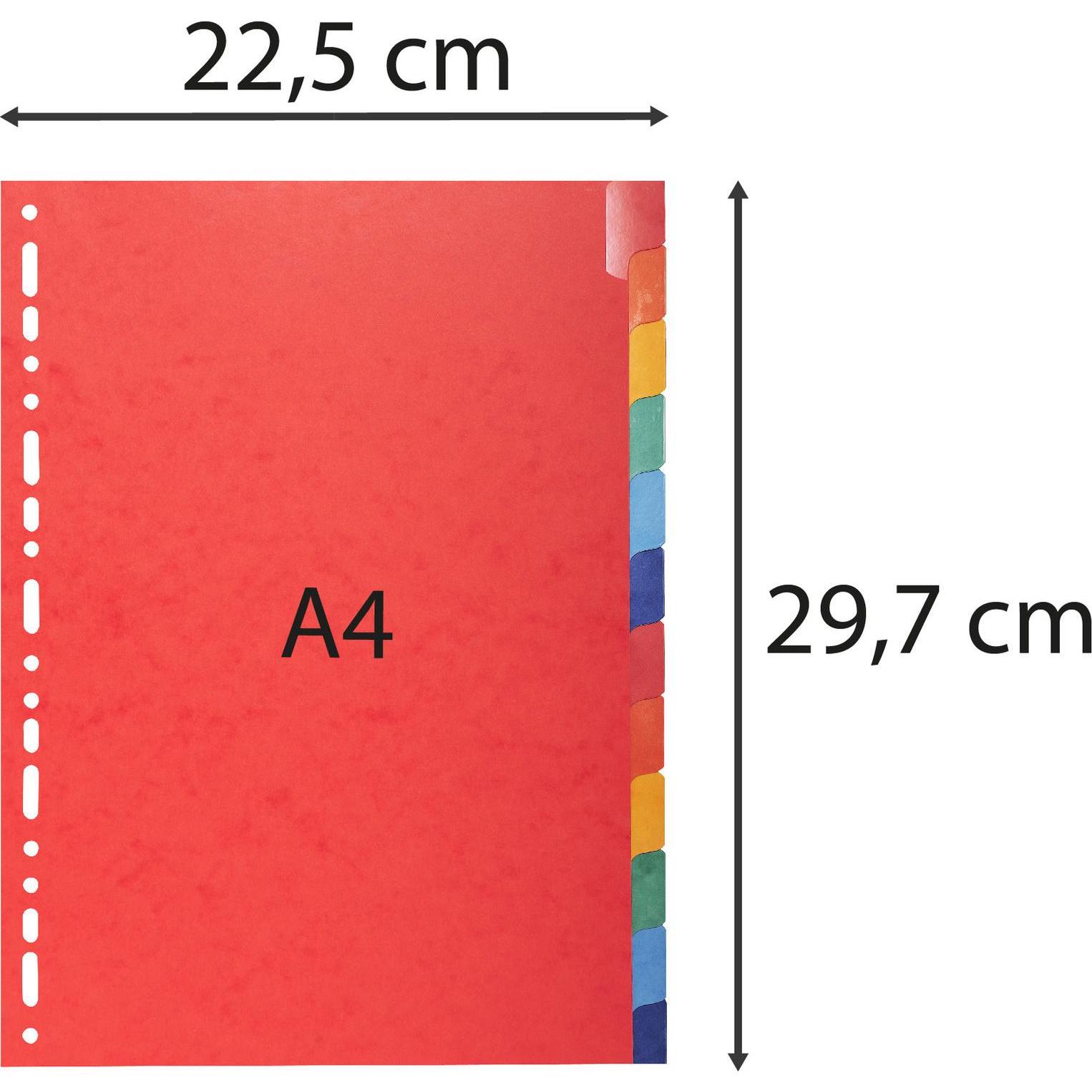 Thumbnail - Exacompta, Ordner Zubehör, Register