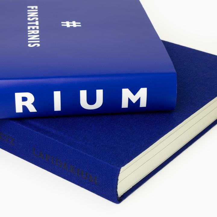 Produktbild Lapidarium (Deutsch, Rainald Goetz, 2024)