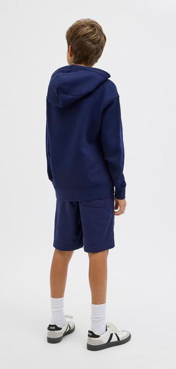 Image du produit Jack & Jones Jpstvesterbro Sweat Shorts Gms Sn Jnr (176)