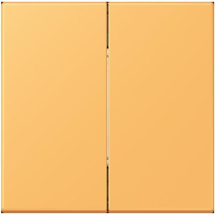 Image du produit JUNG BLELC995254