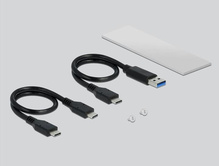 Actual product image Delock External housing (M.2)