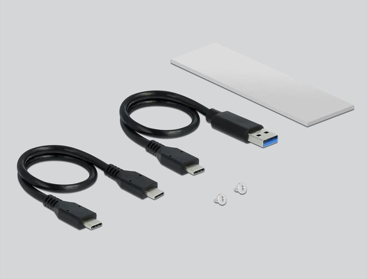 Actual product image Delock External housing (M.2)