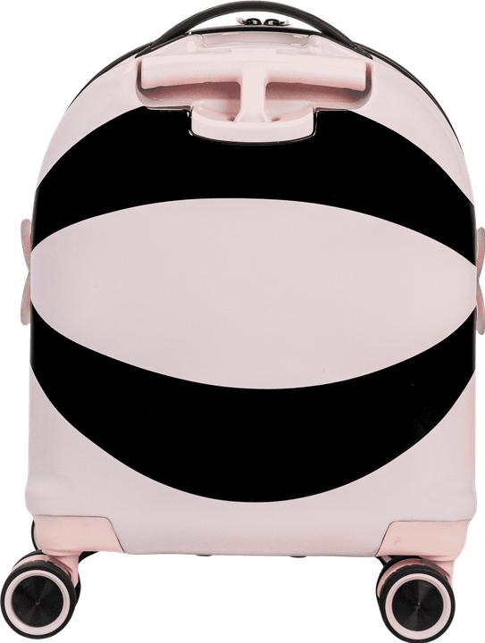 Actual product image Swissbags S (36 l)