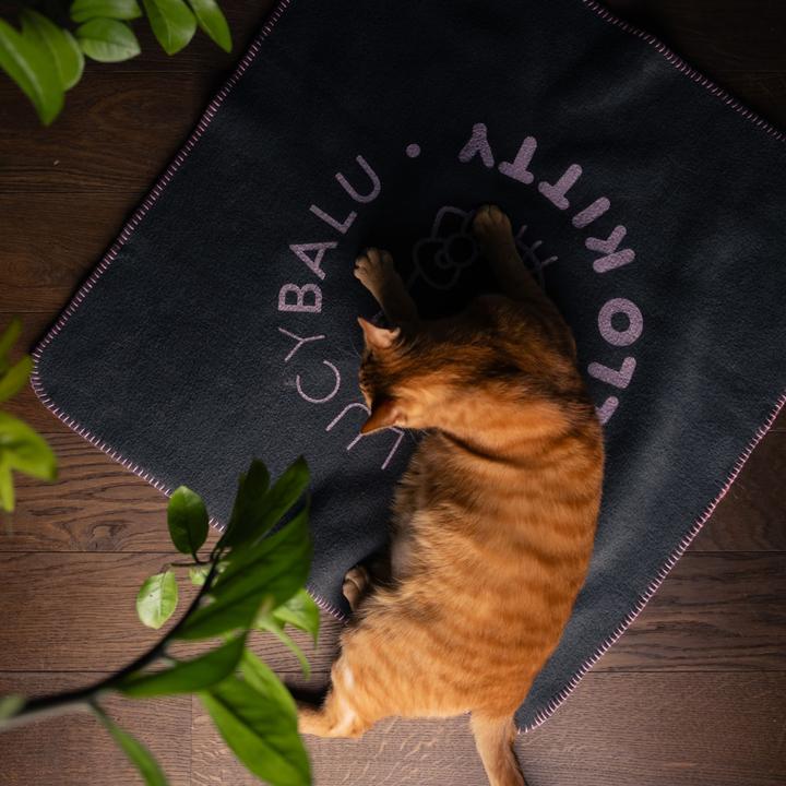 Immagine prodotto LucyBalu CUDDLE Katzendecke - Hello Kitty Edition (Gatto)