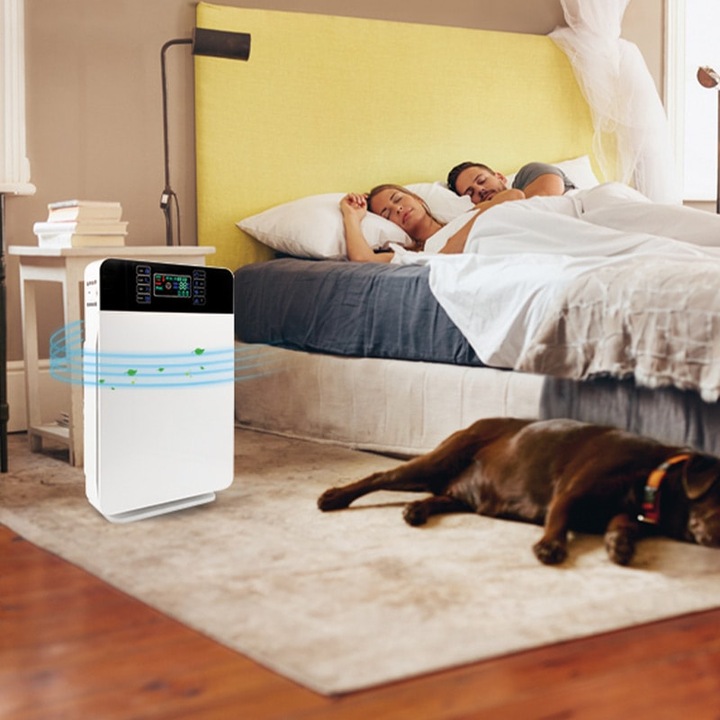 Immagine prodotto Livington Purificatore d'aria 6 1 (30 m²)