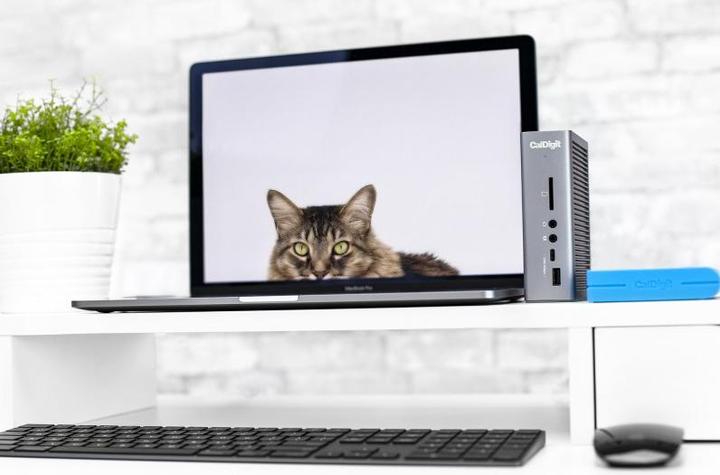 Produktbild CalDigit TS3 Plus (Thunderbolt, 1 Ports)