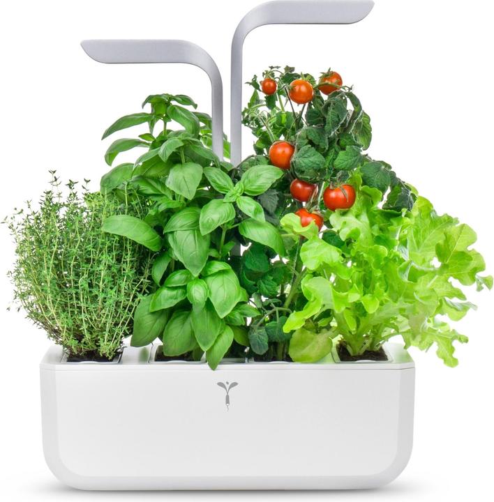 Produktbild Véritable Smart (18.50 cm)
