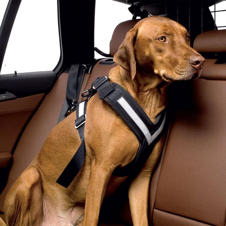 Produktbild Kleinmetall Allsafe (M, Hund, Arbeit, Hundesport, Jogging, Spazieren)