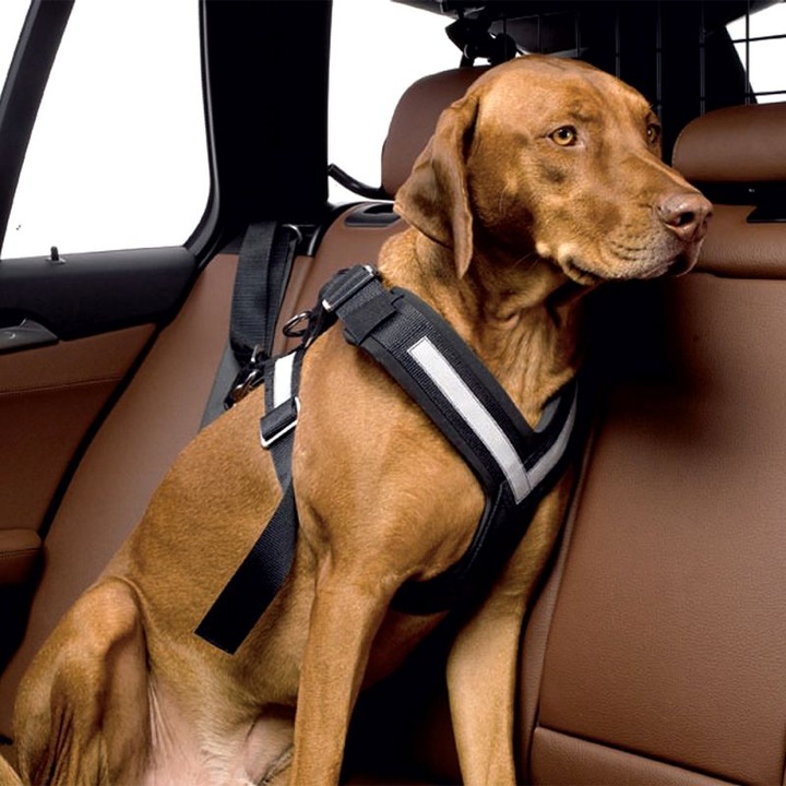 Produktbild Kleinmetall Allsafe (M, Hund, Arbeit, Hundesport, Jogging, Spazieren)
