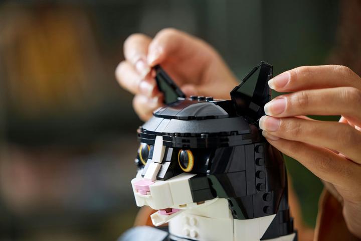 Produktbild LEGO Schwarz-weisse Katze (21349, LEGO Ideas, LEGO Seltene Sets)