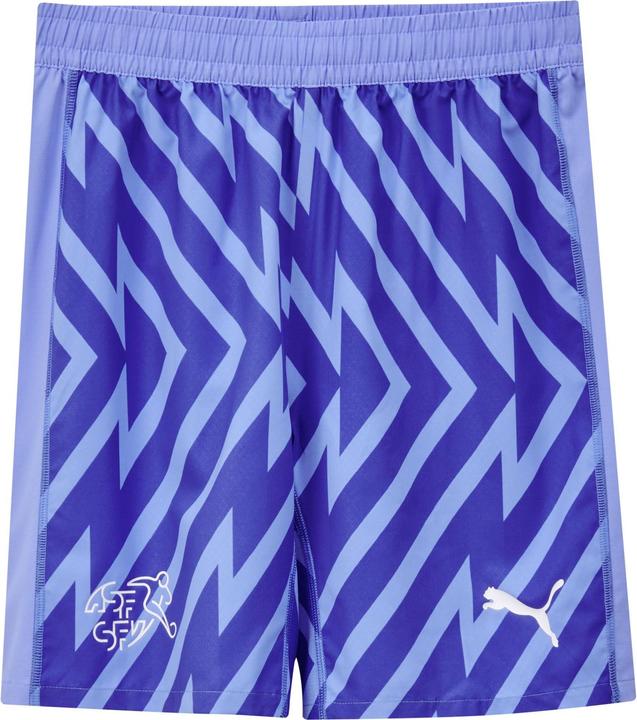 Puma SFV GK Shorts Replica Jr (128)