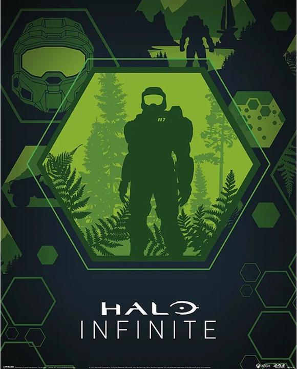 Produktbild Halo Infinite Poster Hex Mini Master Chief