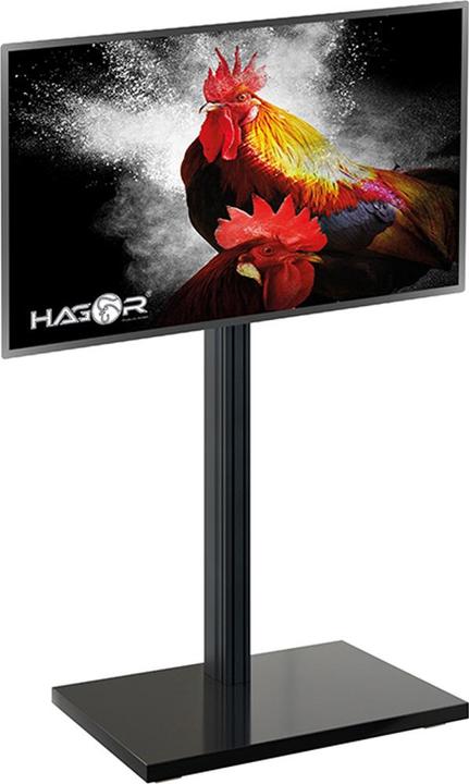 Immagine prodotto Hagor CPS ELIA 160 PIANTANA (65", 40 kg)