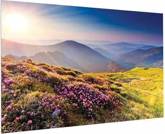 Actual product image Projecta FullVision - 4.01 m (158 inches) - 3.5 m - 197 cm - 16:9 - HD Progressive 1.1 (158", 16:9)