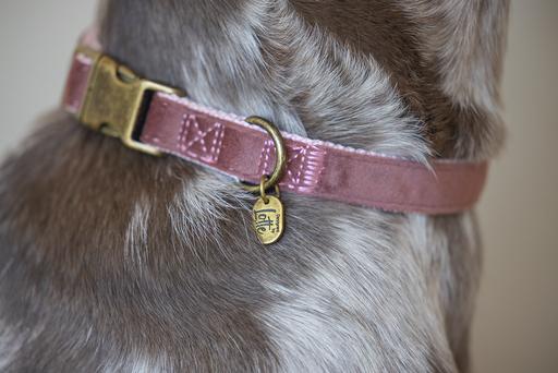 Actual product image Designed by Lotte Velura (XL, Dog, Walks)