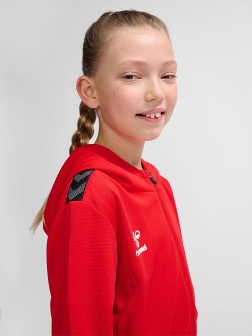 Produktbild hummel Hmlauthentic Pl Zip Hoodie Kids (164)