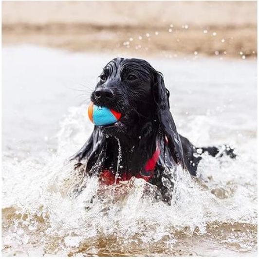 Immagine prodotto Chuckit! ! Palline anfibie 3 pezzi. (Palla giocattolo per cani)