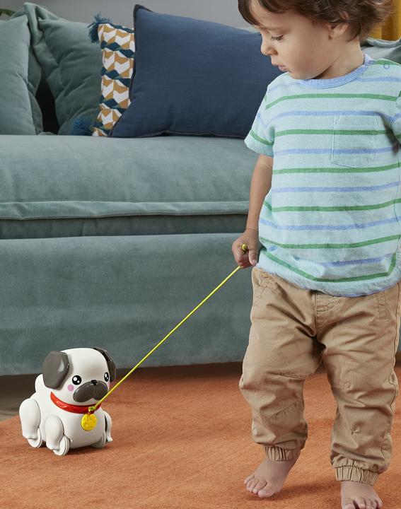 Actual product image Fisher-Price play & pull pug