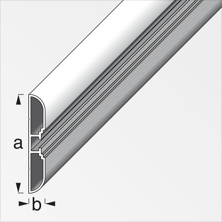 Actual product image Alfer Coaxis profile wide aluminium 1m
