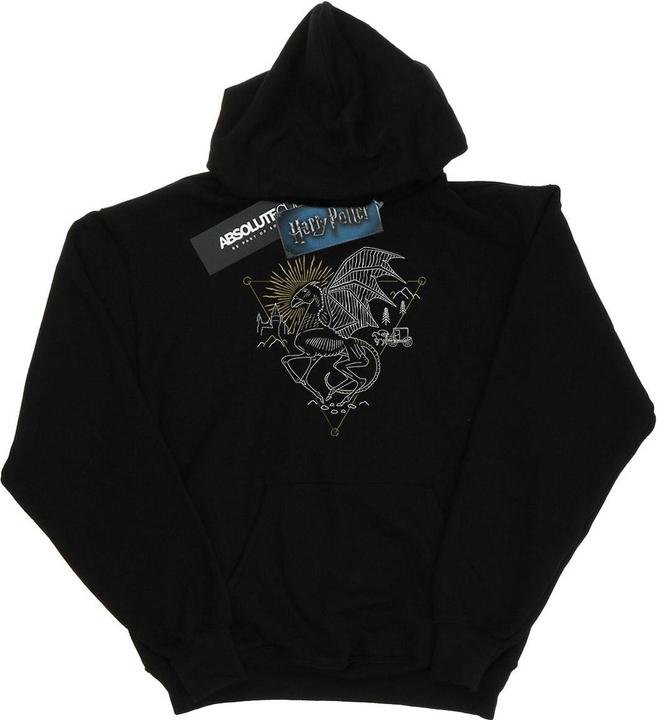 Image du produit - Sweat à capuche THESTRAL LINE ART - Homme (XL)
